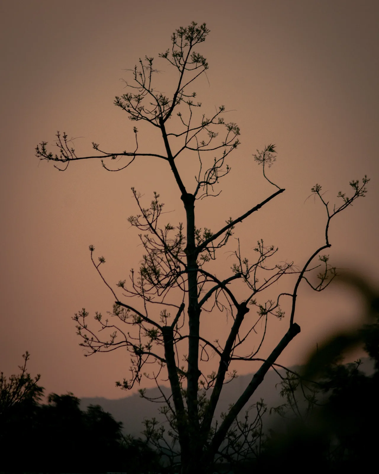 nature photography by JRMGraphy